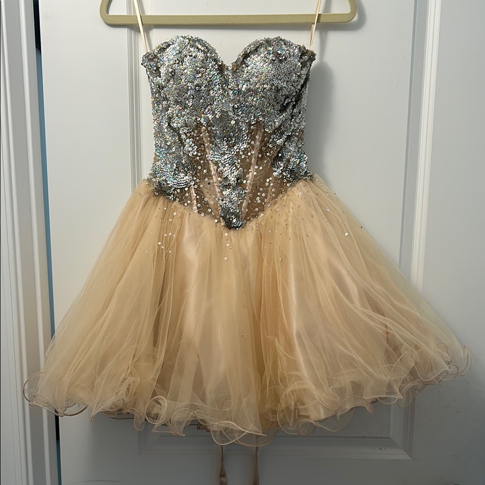 Sparkling Silver and Gold Strapless Dress